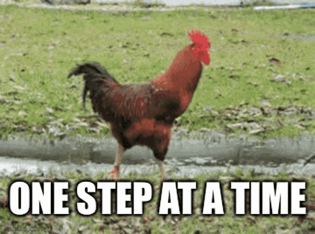 1000005835.gif
