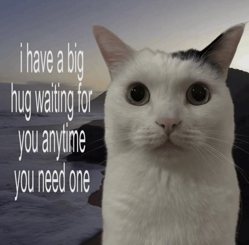 1000006782.gif