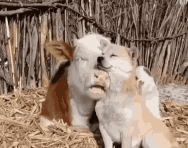 1000006914.gif