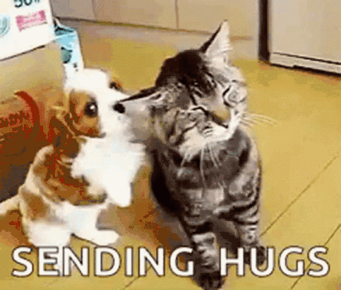 1000007024.gif
