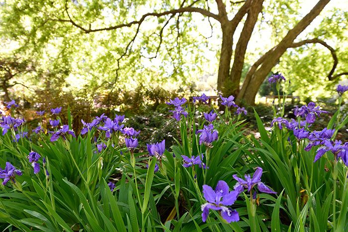 IMG_0370.jpeg