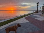 Sunsets
