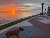 IMG_1481.jpeg
